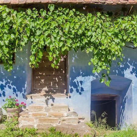 Experience Transylvania Viscri 63B Exteriér fotografie