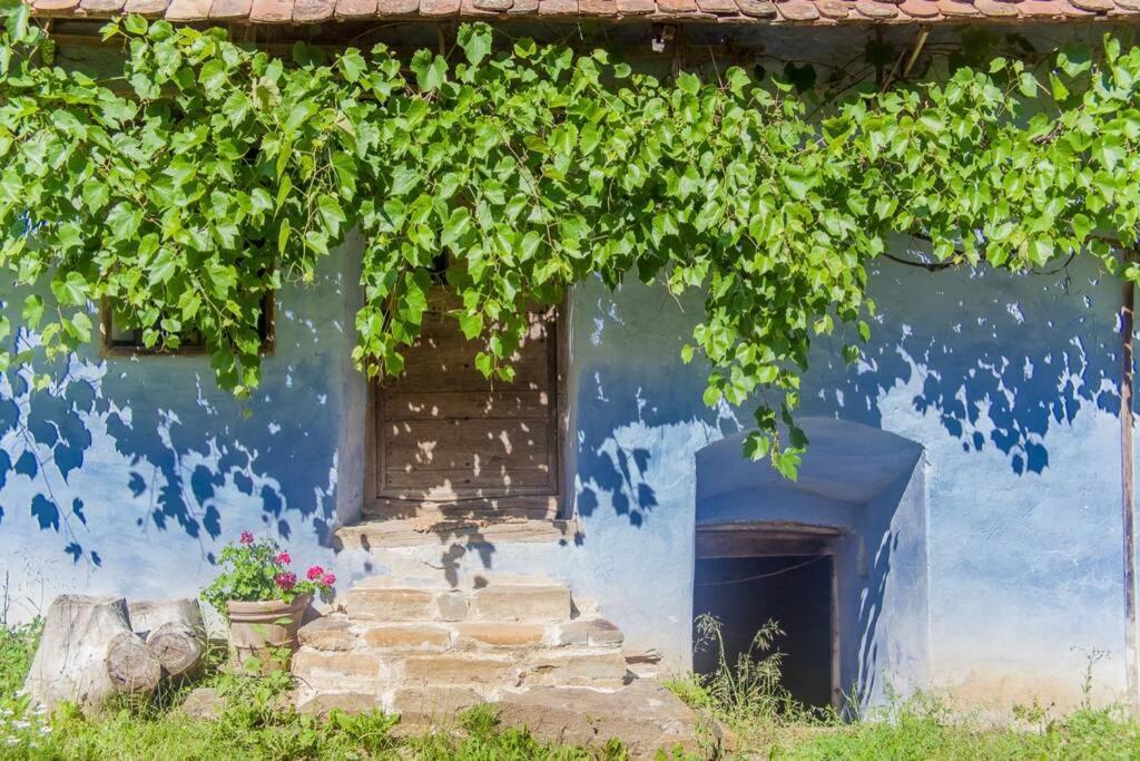 Experience Transylvania Viscri 63B Exteriér fotografie